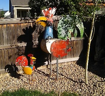 chickens enjoying a sunny afternoon