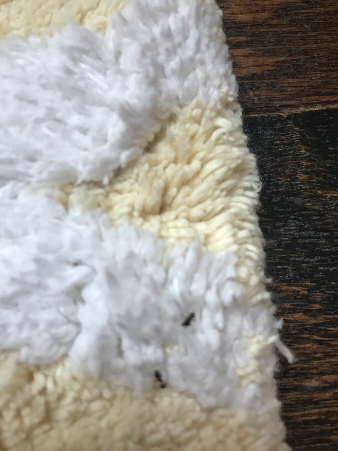 the two yutes (two little tiny ants)